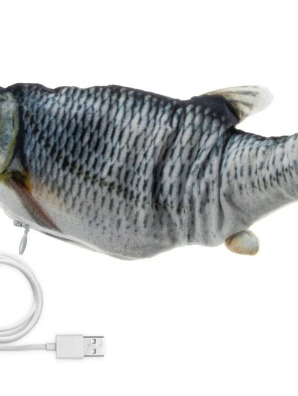 Cat or Dog jumping fish